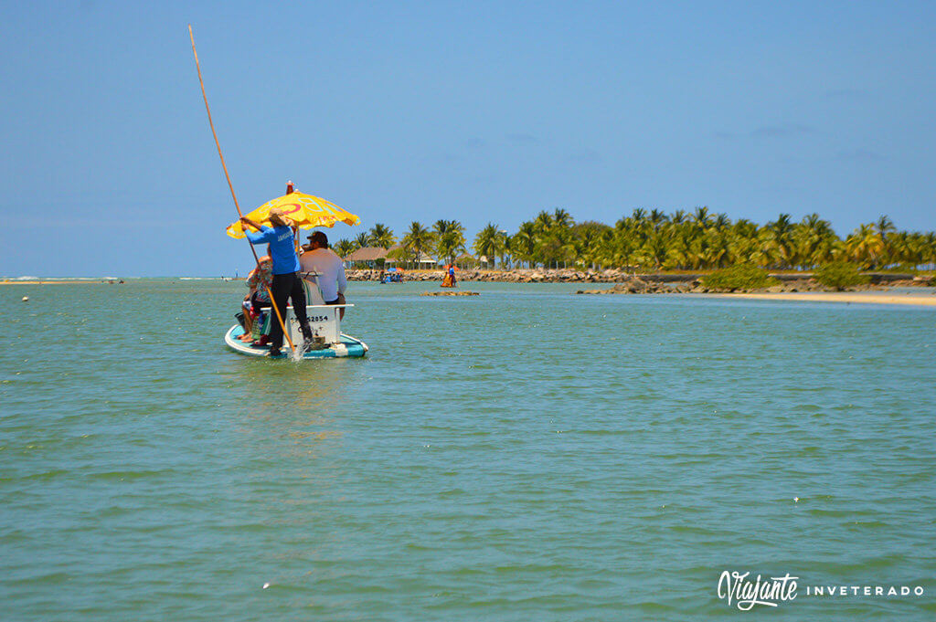 Cavalos Marinhos em Porto de Galinhas